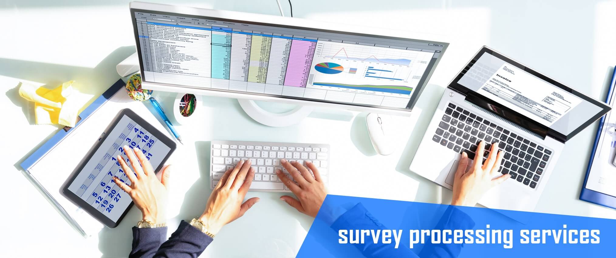 survey processing